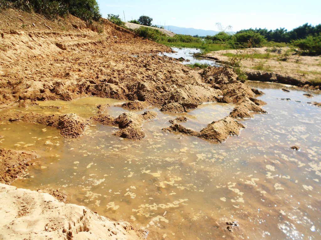 Thông tin từ đường dây nóng
